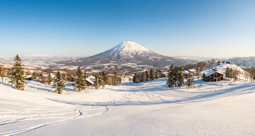 Ski Schools in Niseko: A Complete Guide to Lessons & Instructors